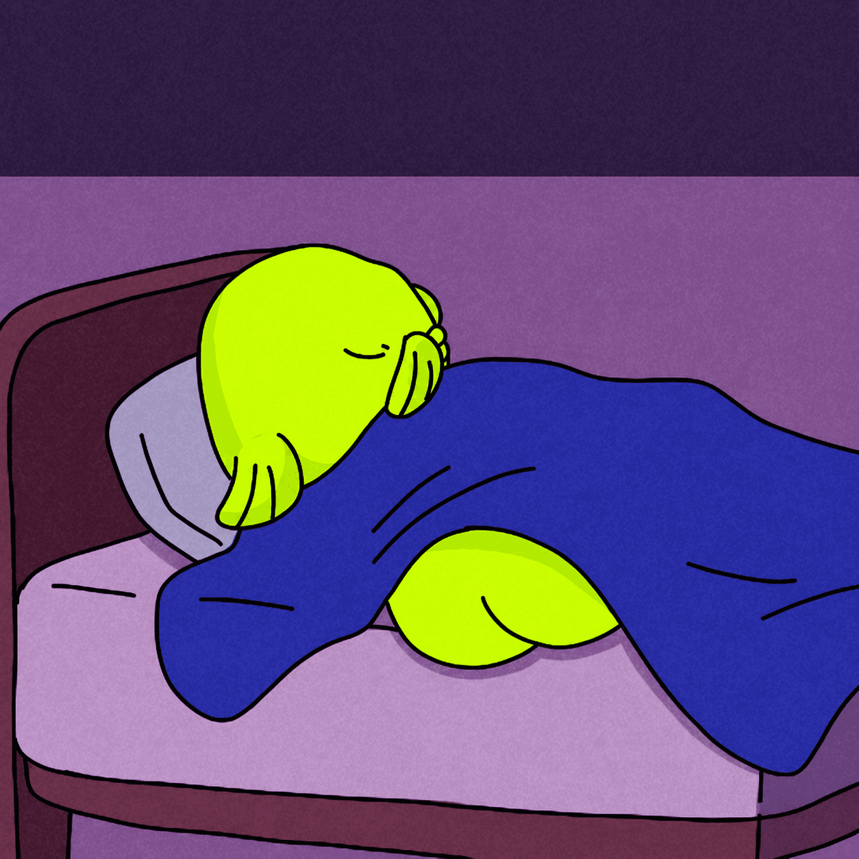 Blub asleep in bed under a blue blanket at night